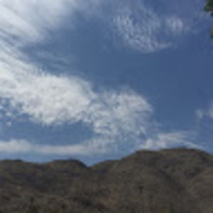 Meet your Posher, Naomi